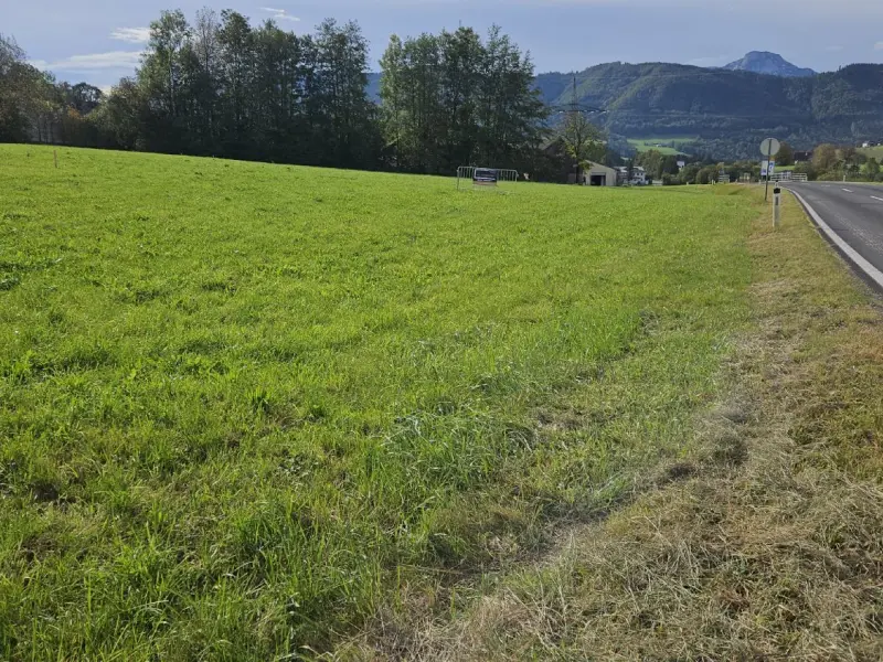 Tolles Gewerbegrundstück an der A1 zu vermieten