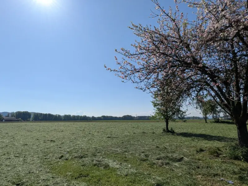 Grundstück in Traumlage - Pfaffstätt / Mattighofen