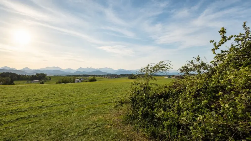 Ausblick
