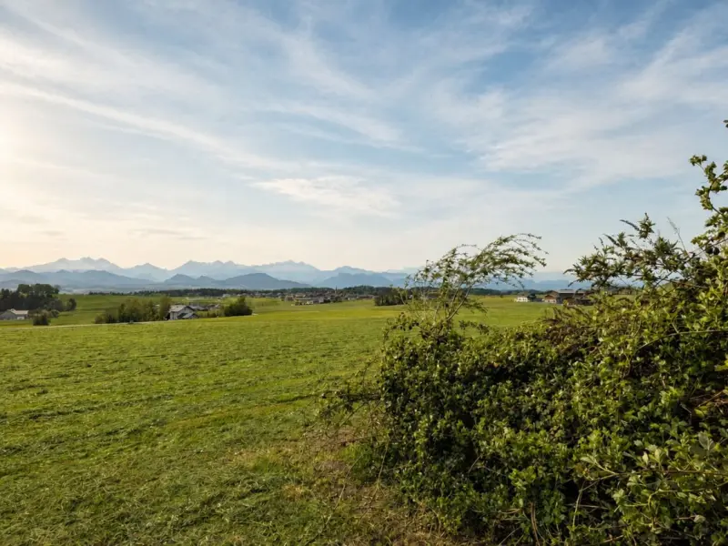 Ausblick